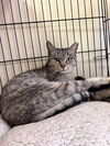 Abby- Must Apply in Person