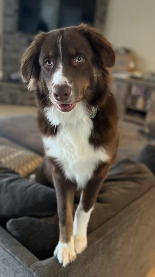Aspen