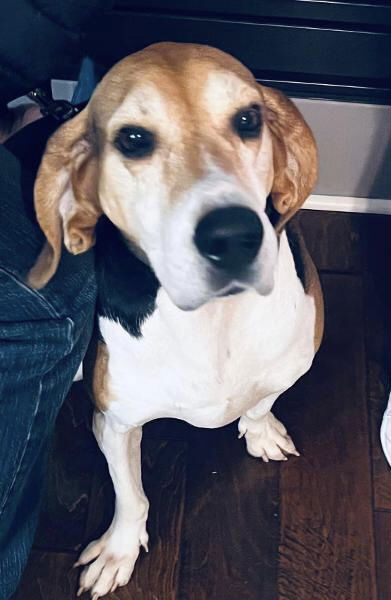 Reba