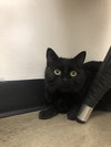 Fiona - Must Apply in Person