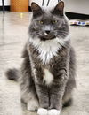 Piper - Must Apply in Person