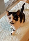 Ellie - Must Apply in Person