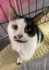 Ellie - Must Apply in Person