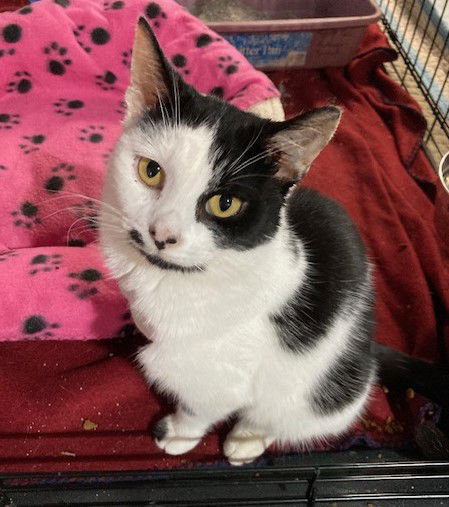 Ellie - Must Apply in Person