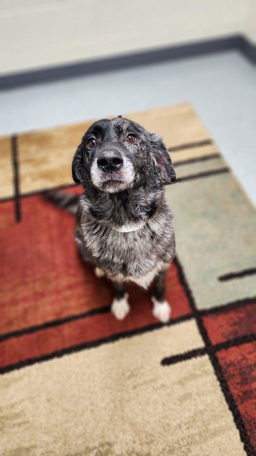 Winnie