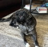 Winnie