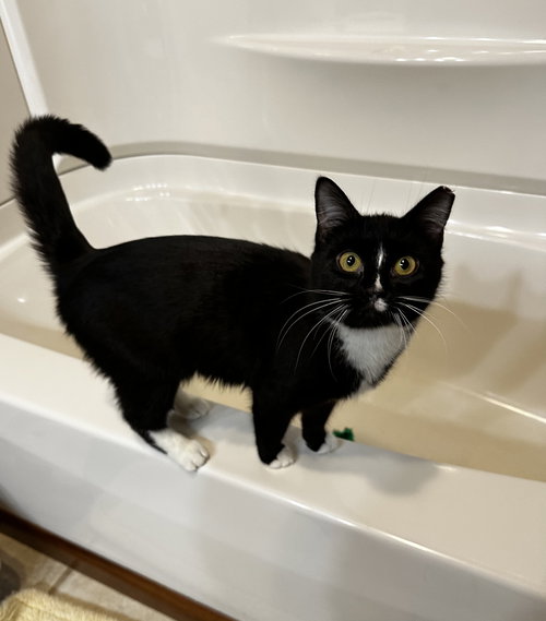 Juno