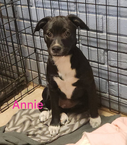 Annie