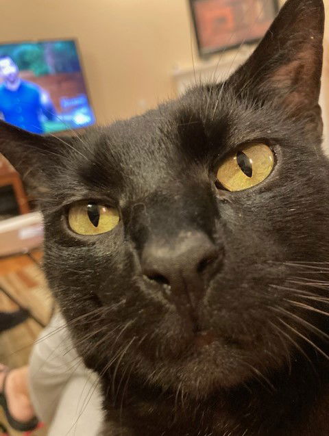 Zuko