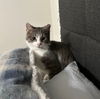 Oscar - Must Apply in Person