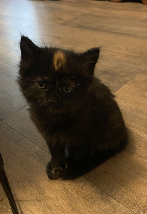 Sally Wheat