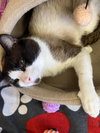 Apollo 11