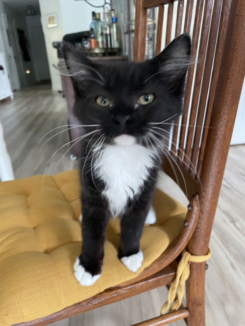 Tux