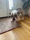 Ethel