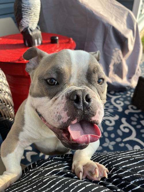Ethel