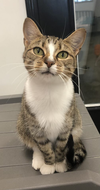 Cleo - Must Apply in Person