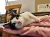 Bean-Must Apply In Person!