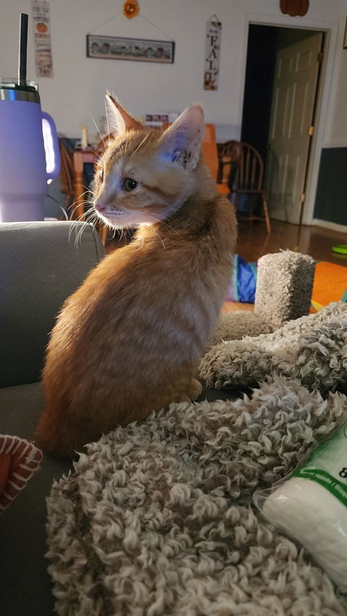 Maggie
