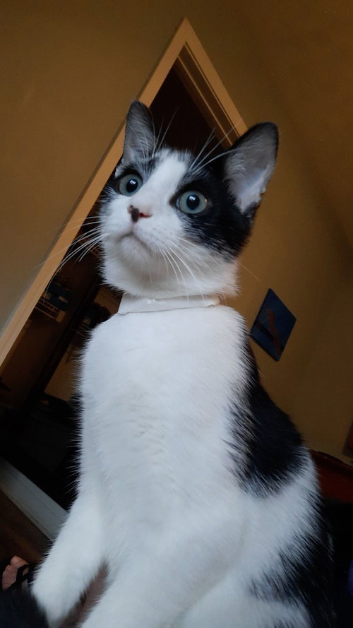 Angela