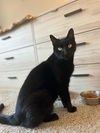Tux