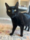 Tux