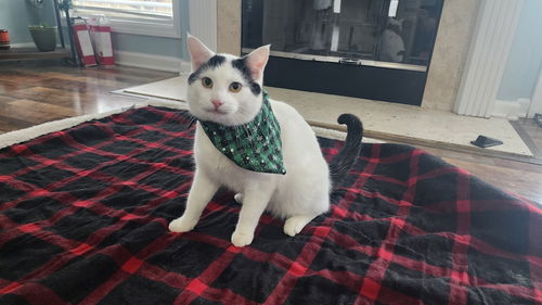 Oogie Boogie