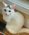 Smudge