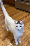 Smudge