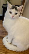 Smudge