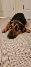 Maggie