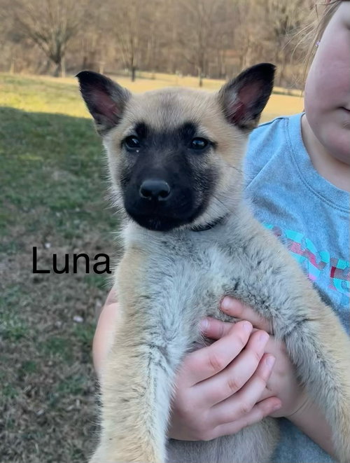 Luna