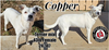 Copper