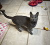 Ethel