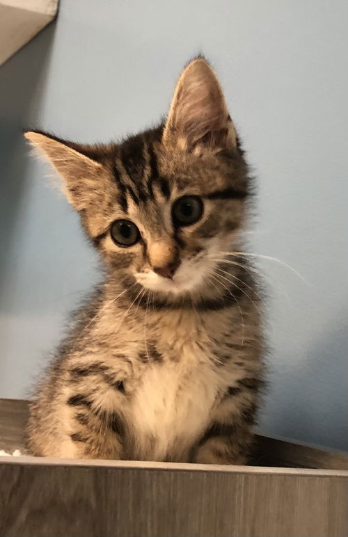 Nash