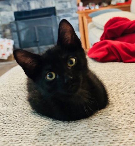 Bruce