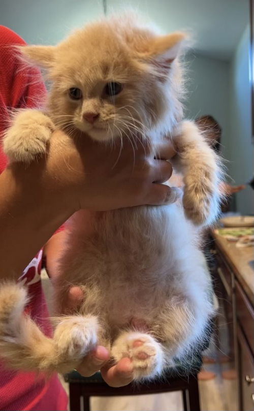 Sam