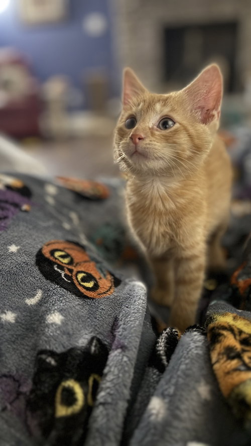 Fred