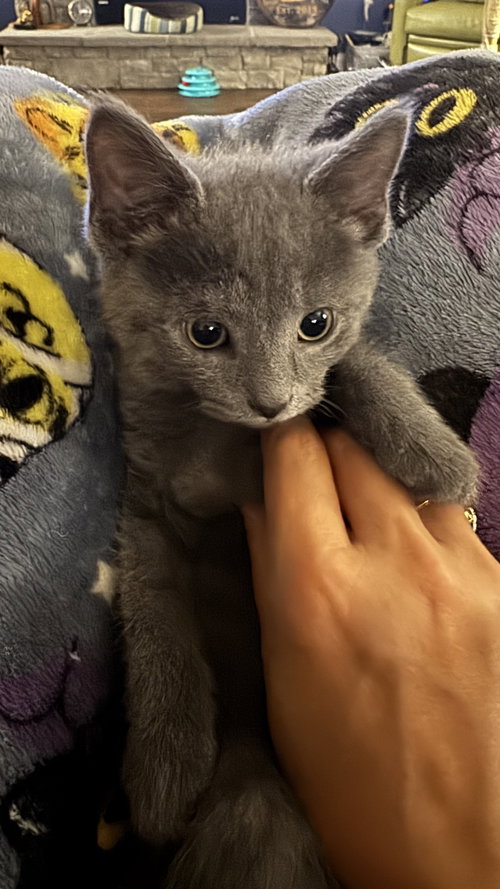 Smokey