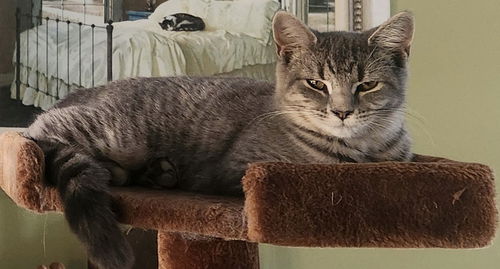 Gina