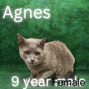 Agnes