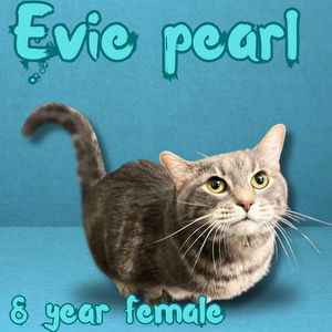 Evie Pearl
