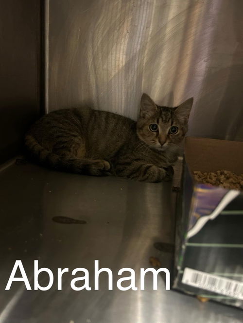 Abraham