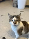 Mimi