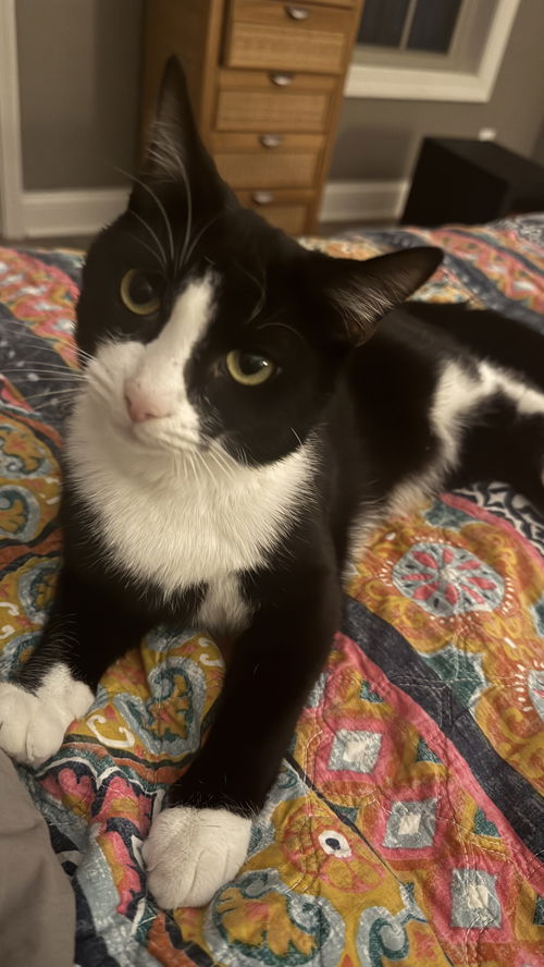 Toots