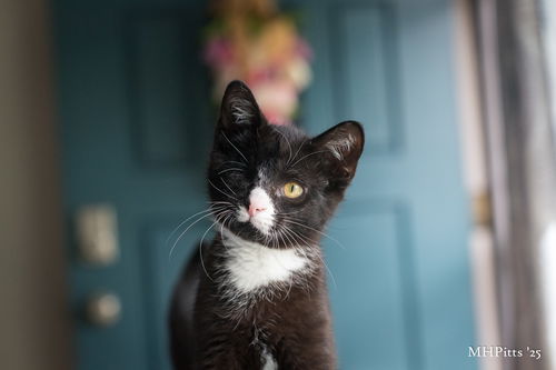 Zebedee