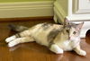 Calista - Must Apply in Person !