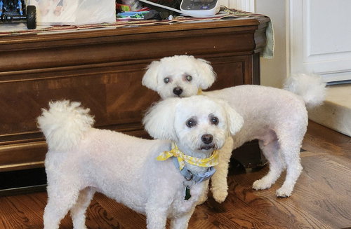 Brodie & Brandi