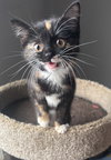 Lucy