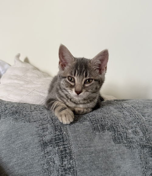 Benny