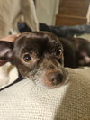 Hershey